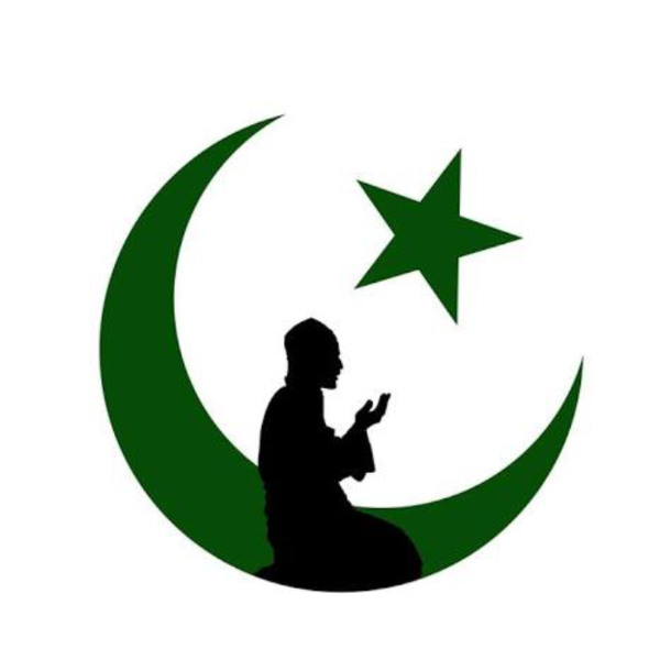 Bosniak-American Islamic Center Logo